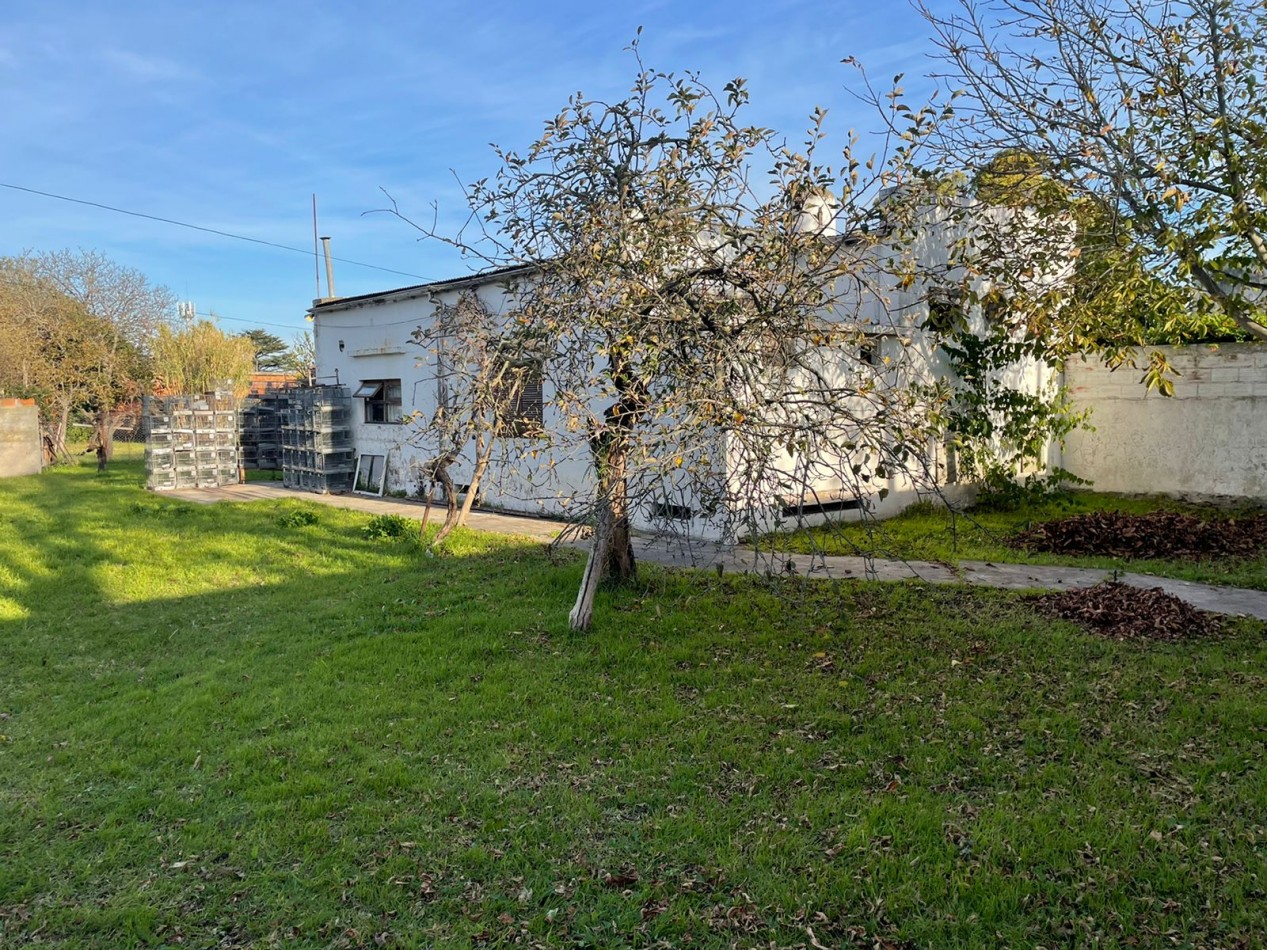 Lote - Las Avenidas