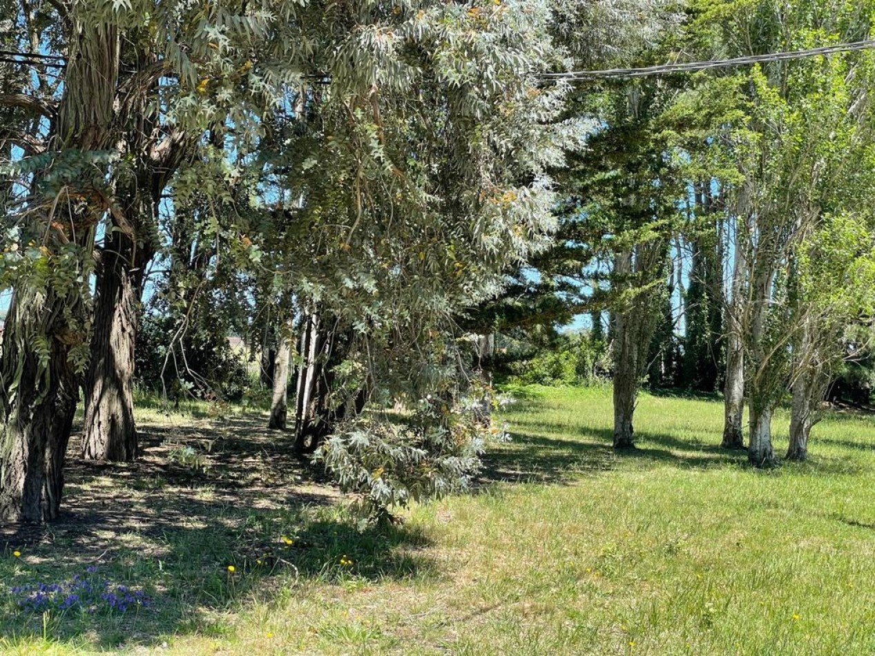 Lotes en venta en Barrio PINARES DE SANTA CLARA