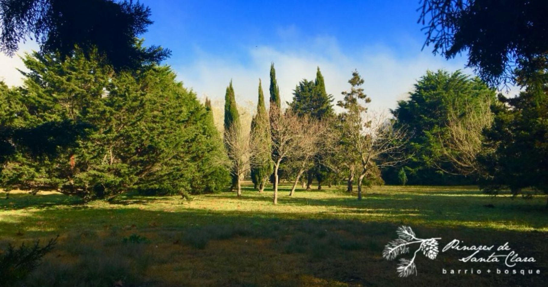 Lotes en venta en Barrio PINARES DE SANTA CLARA