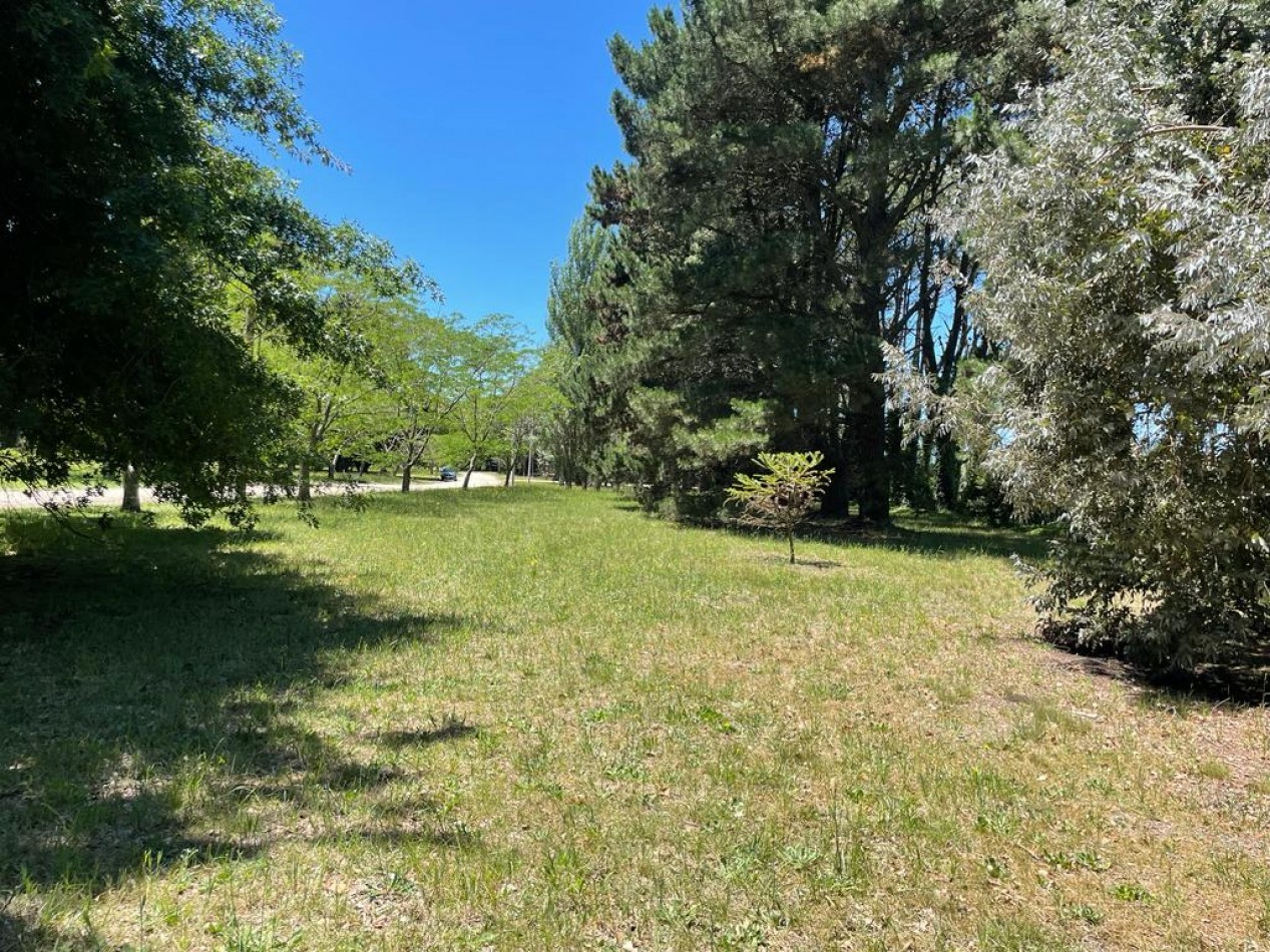 Lotes en venta en Barrio PINARES DE SANTA CLARA