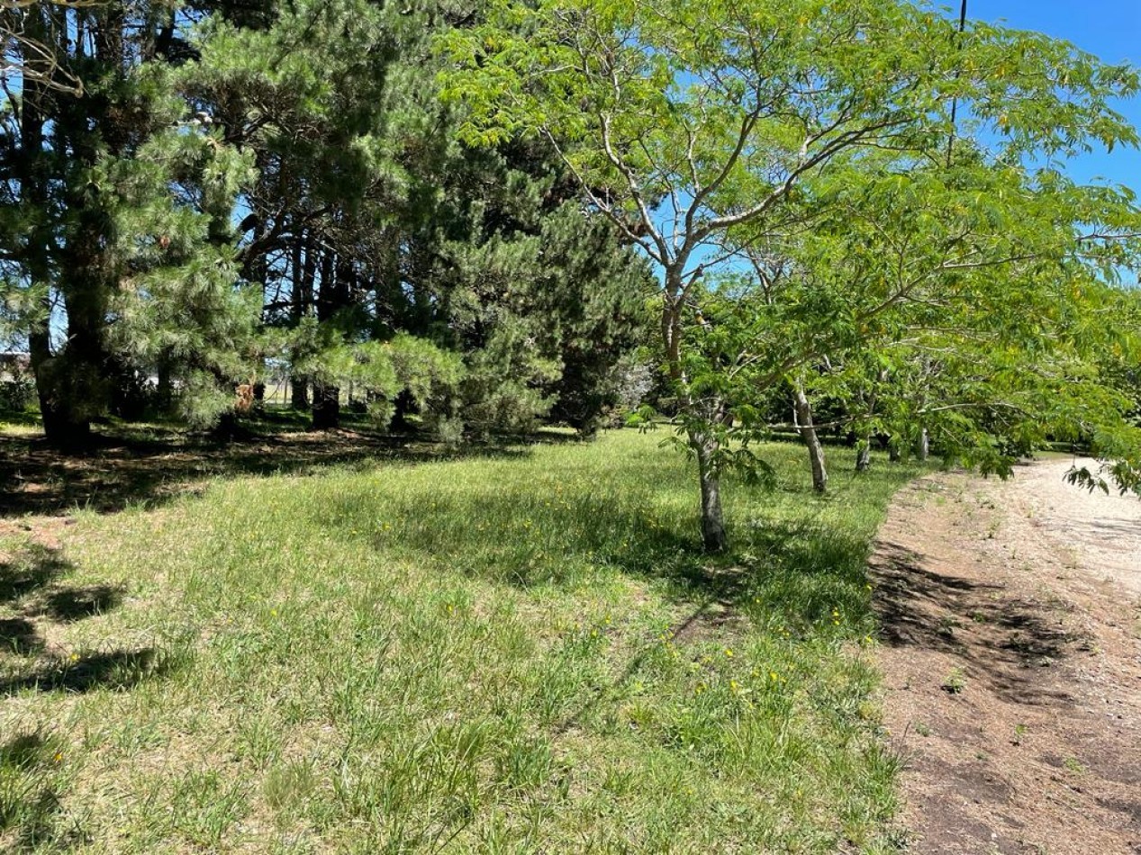 Lotes en venta en Barrio PINARES DE SANTA CLARA