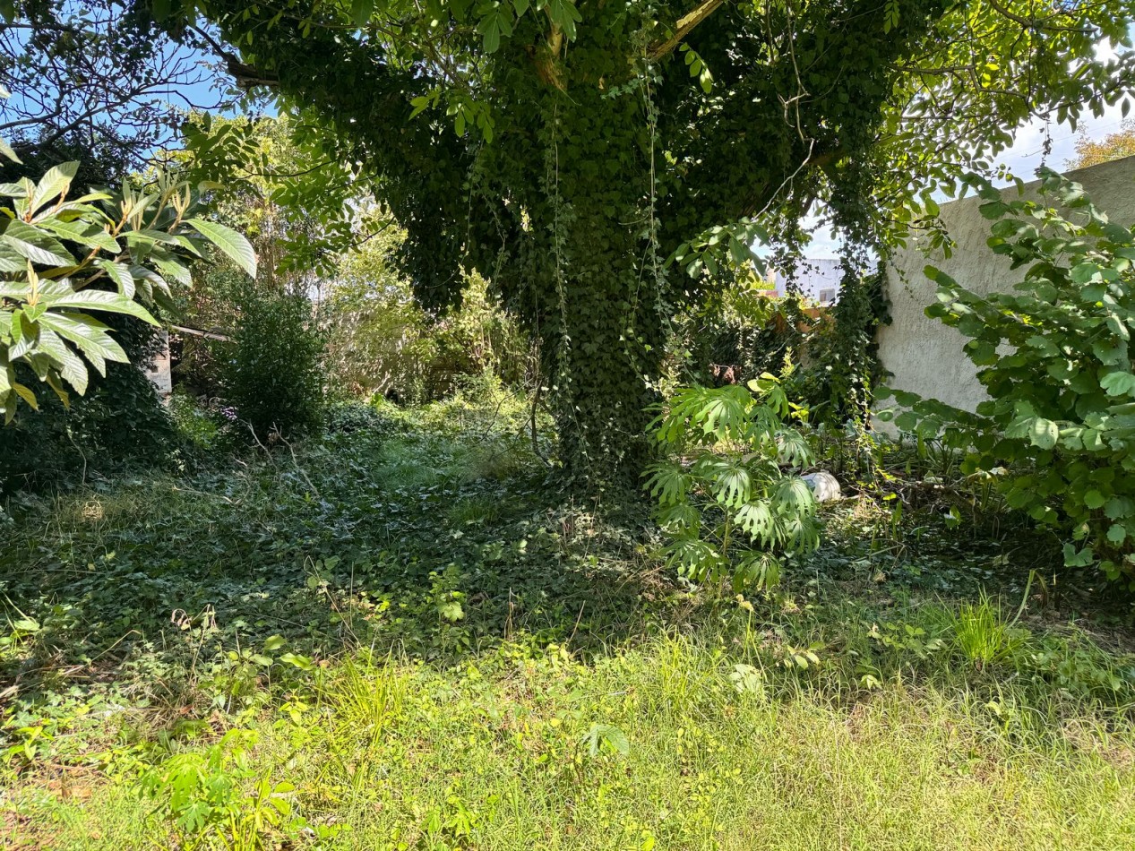 LOTE CON CONSTRUCCION PARA DEPOSITO/GALPON - LAS AVENIDAS