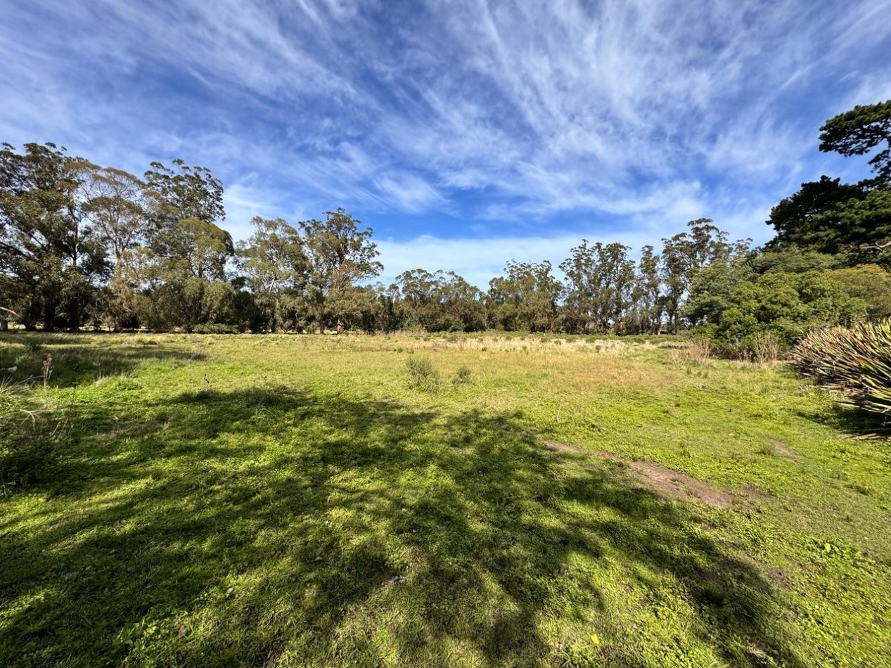 Fraccion de campo 2 y 1/2 Ha - Zona Boqueron - Mar del Plata - ALQUILER