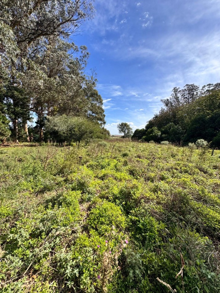 Fraccion de campo 2 y 1/2 Ha - Zona Boqueron - Mar del Plata - ALQUILER