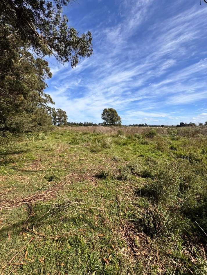 Fraccion de campo 2 y 1/2 Ha - Zona Boqueron - Mar del Plata - ALQUILER