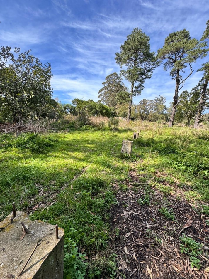 Fraccion de campo 2 y 1/2 Ha - Zona Boqueron - Mar del Plata - ALQUILER