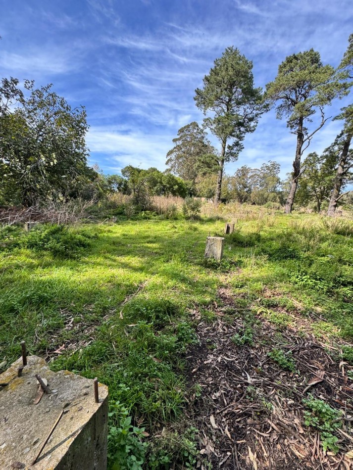 Fraccion de campo 2 y 1/2 Ha - Zona Boqueron - Mar del Plata - ALQUILER