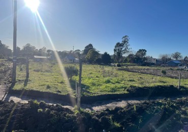 Lote en esquina - San Jacinto