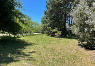 Lotes en venta en Barrio PINARES DE SANTA CLARA